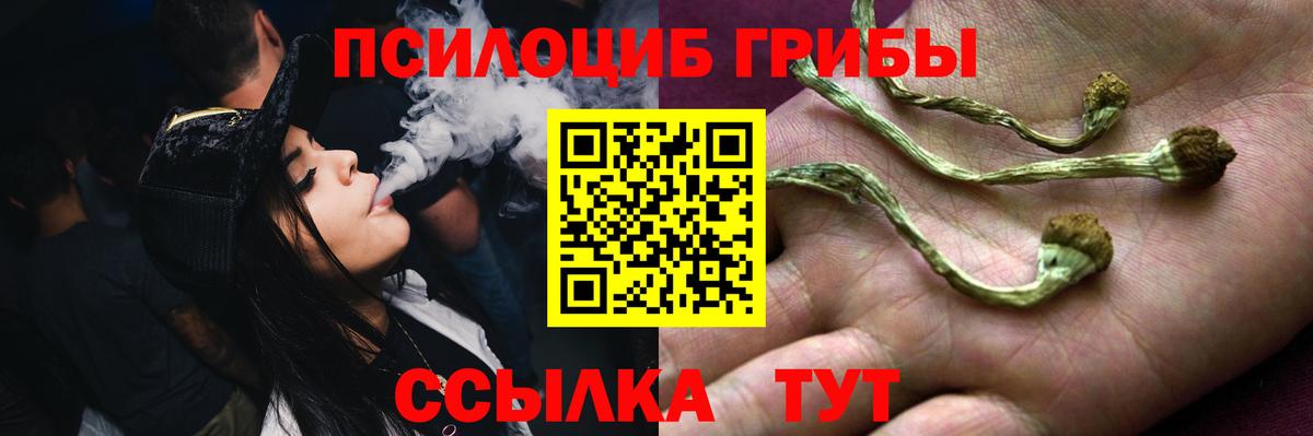 Псилоцибиновые грибы ЛСД Артёмовский